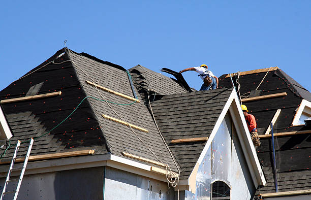 Best Roof Insulation Installation  in Nicollet, MN